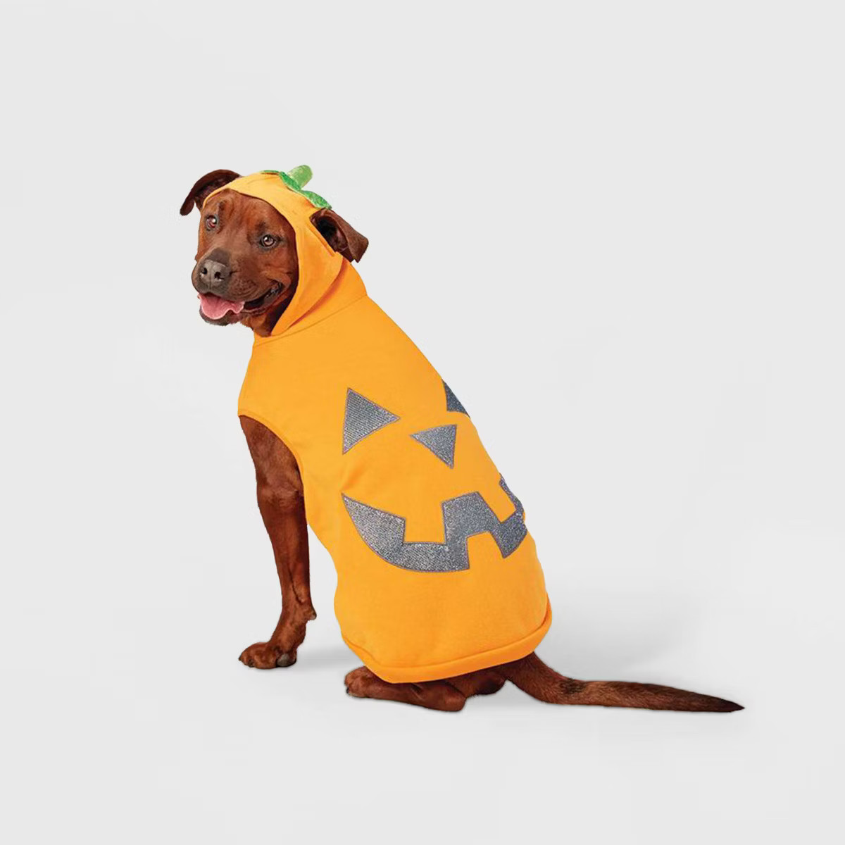 Reflective Halloween Jack-O'-Lantern Pumpkin Hoodie Dog and Cat Costume - Hyde & EEK! Boutique™ | Target
