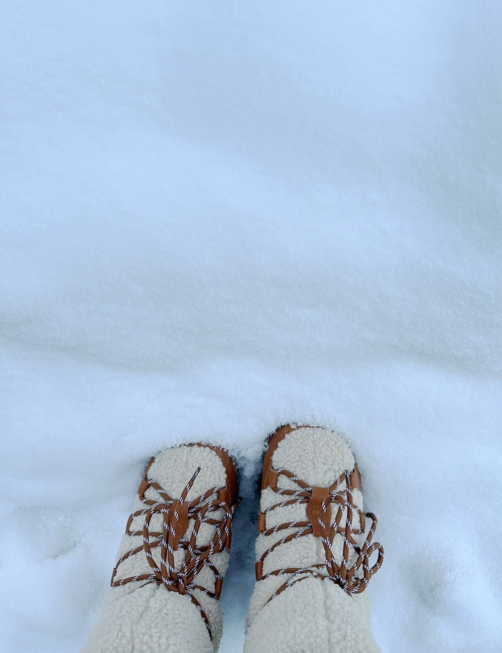 My favorite shearling snow boots (or variations of them)… 

#LTKootd #LTKSeasonal #LTKHoliday