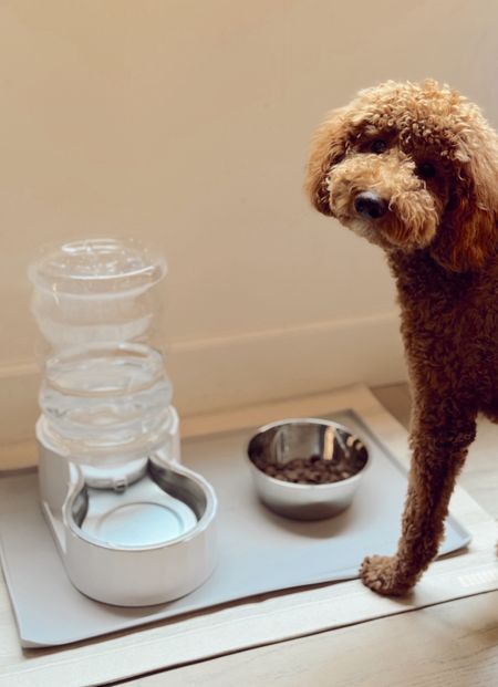 Our favorite pet water dispenser. I have 2 of these in our home. 



#LTKhome
