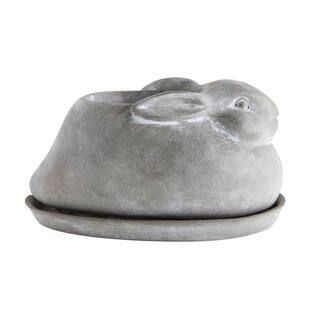 5" Cement Rabbit Planter with Saucer | Michaels Stores