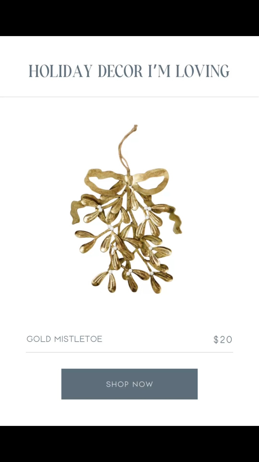This gold mistletoe from John Derian is so beautiful and elegant!

#LTKGiftGuide #LTKHoliday
