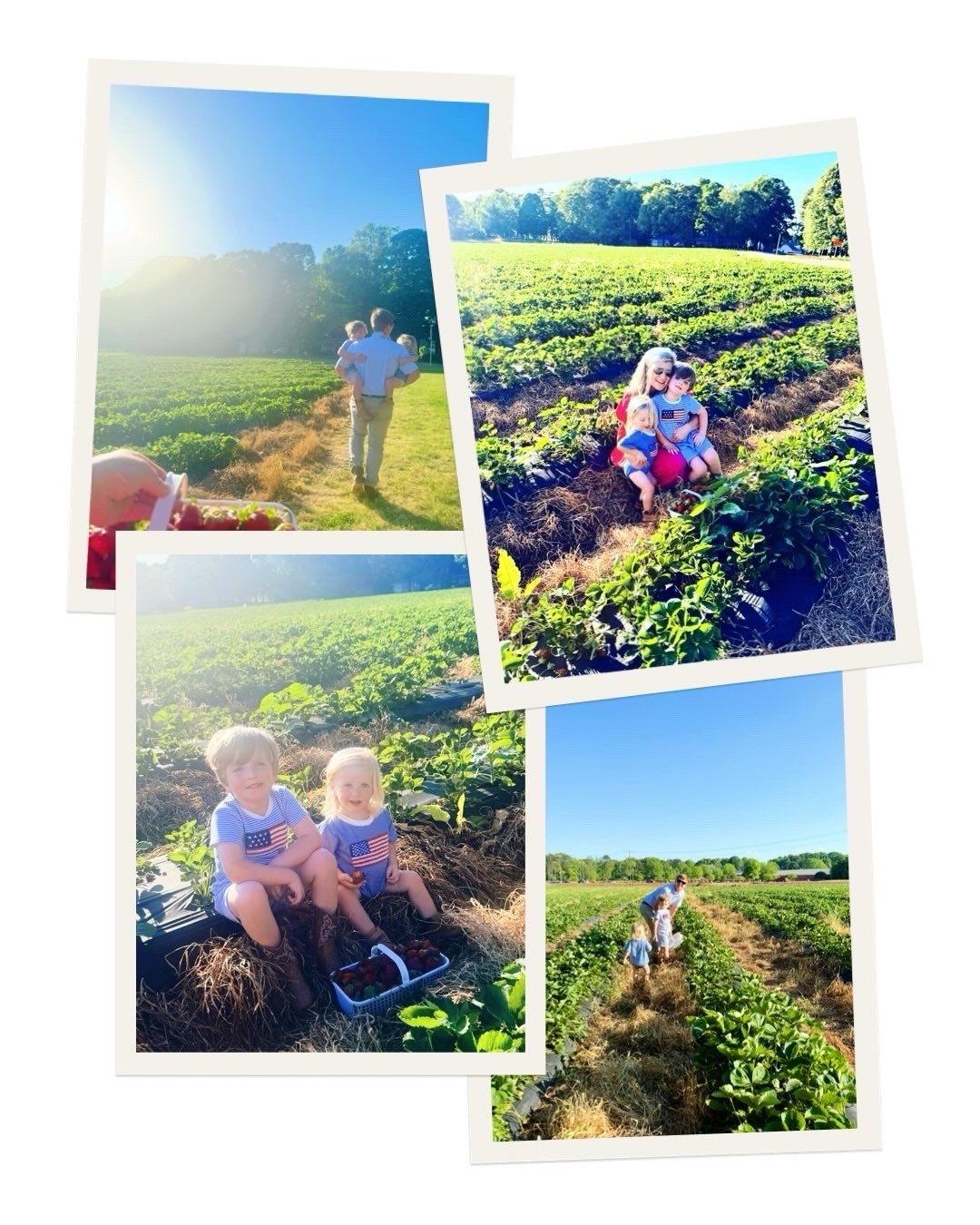 A 🍓 b e r r y 🍓 sweet spring weekend indeed!! 🌿🍰📸🌳🧺🎞️🌼☀️🚜💦🏡🛻🌅🐓🥚🪺🎈🎂🌸🛁🛠️🐴🍭🫧🪻 #weekendcameraroll