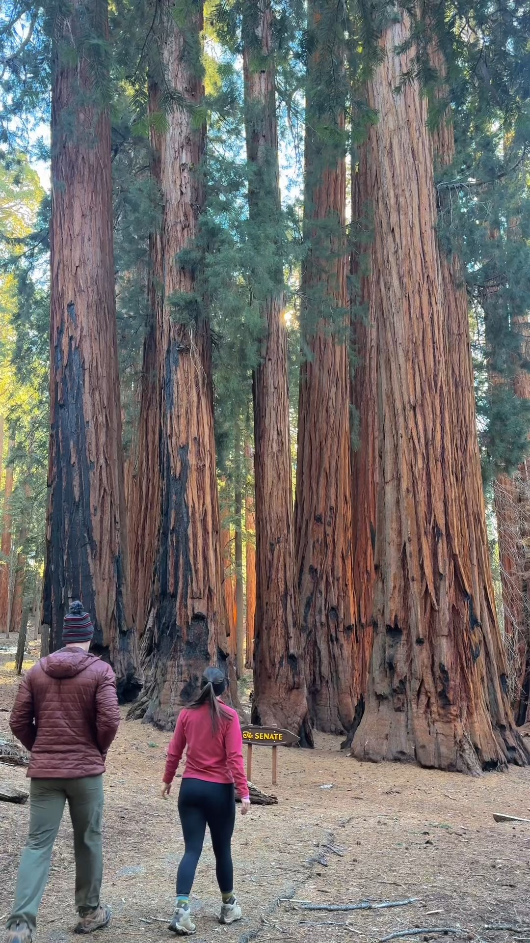 I’ve linked our budget roadtrip travel necessities!

#LTKTravel