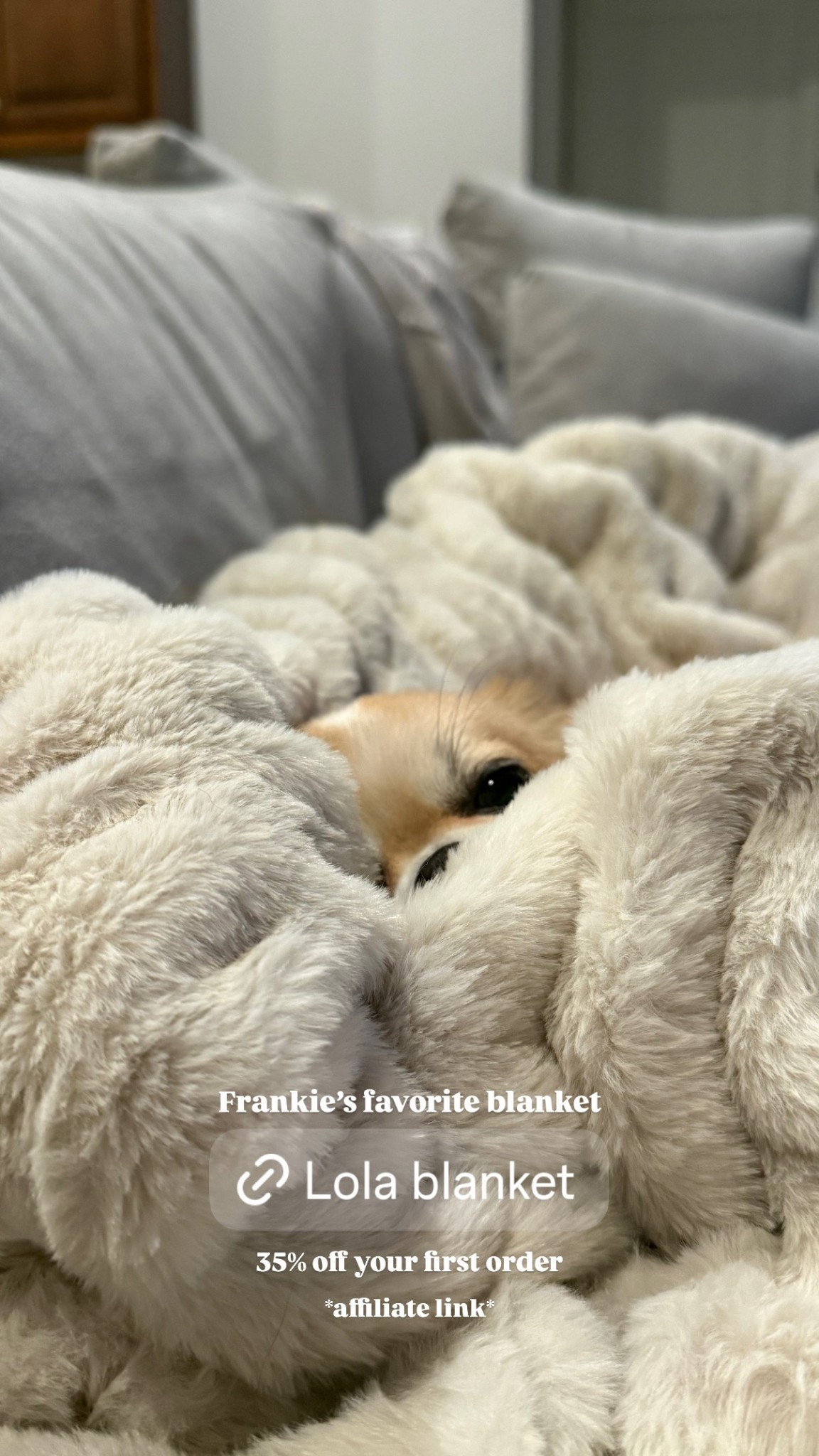 Blanket
Home 
Sale
Wedding registry
Baby registry

#LTKSpringSale #LTKSaleAlert #LTKselfcare