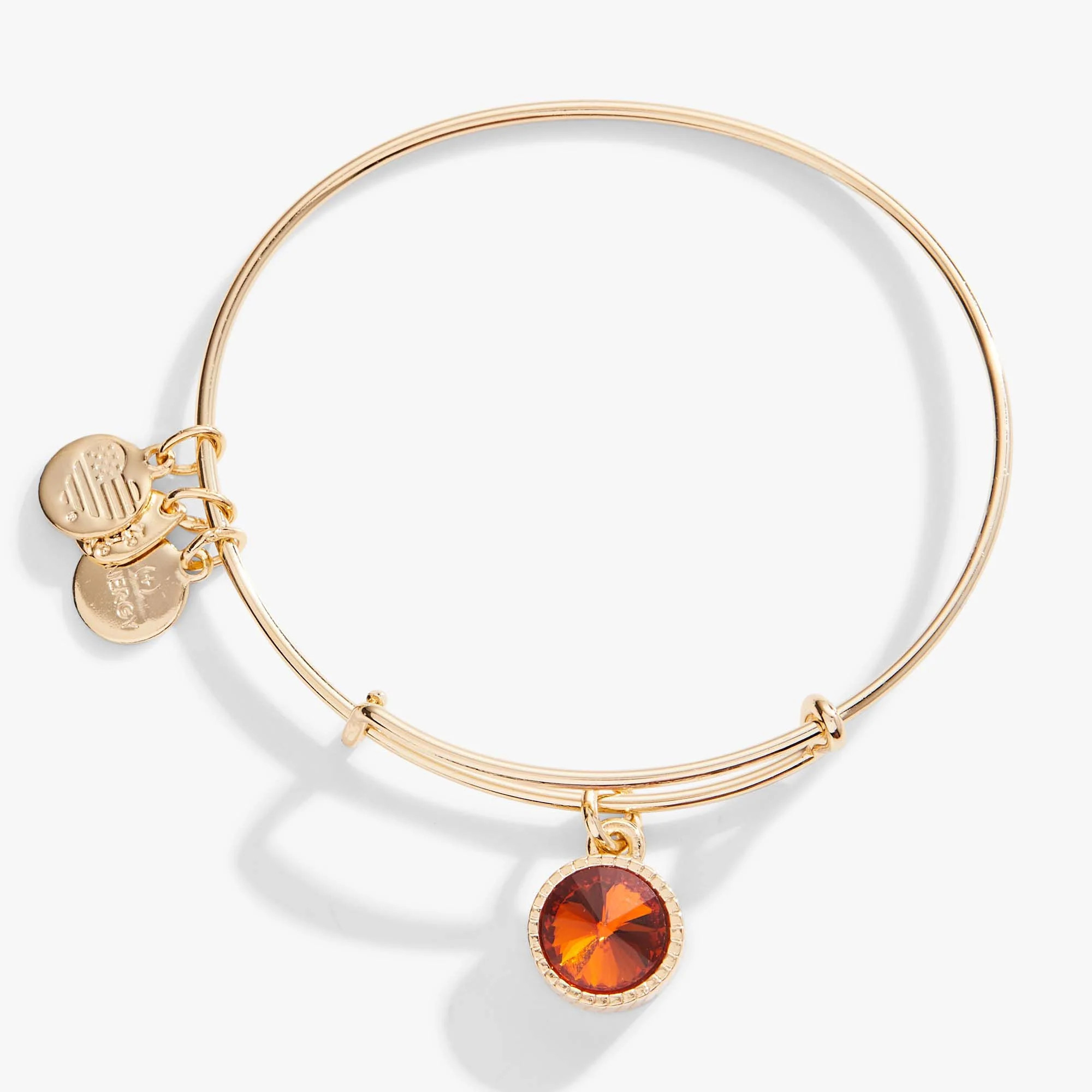 Topaz November Birthstone Charm Bangle | Alex and Ani