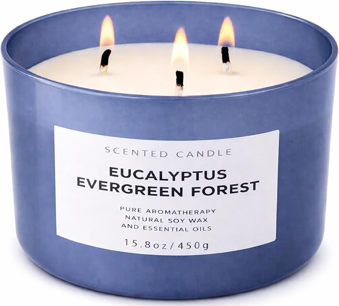 Eucalyptus Evergreen Forest Scented Candle, 3-Wick Soy for Home, 15.8 oz | Amazon (US)
