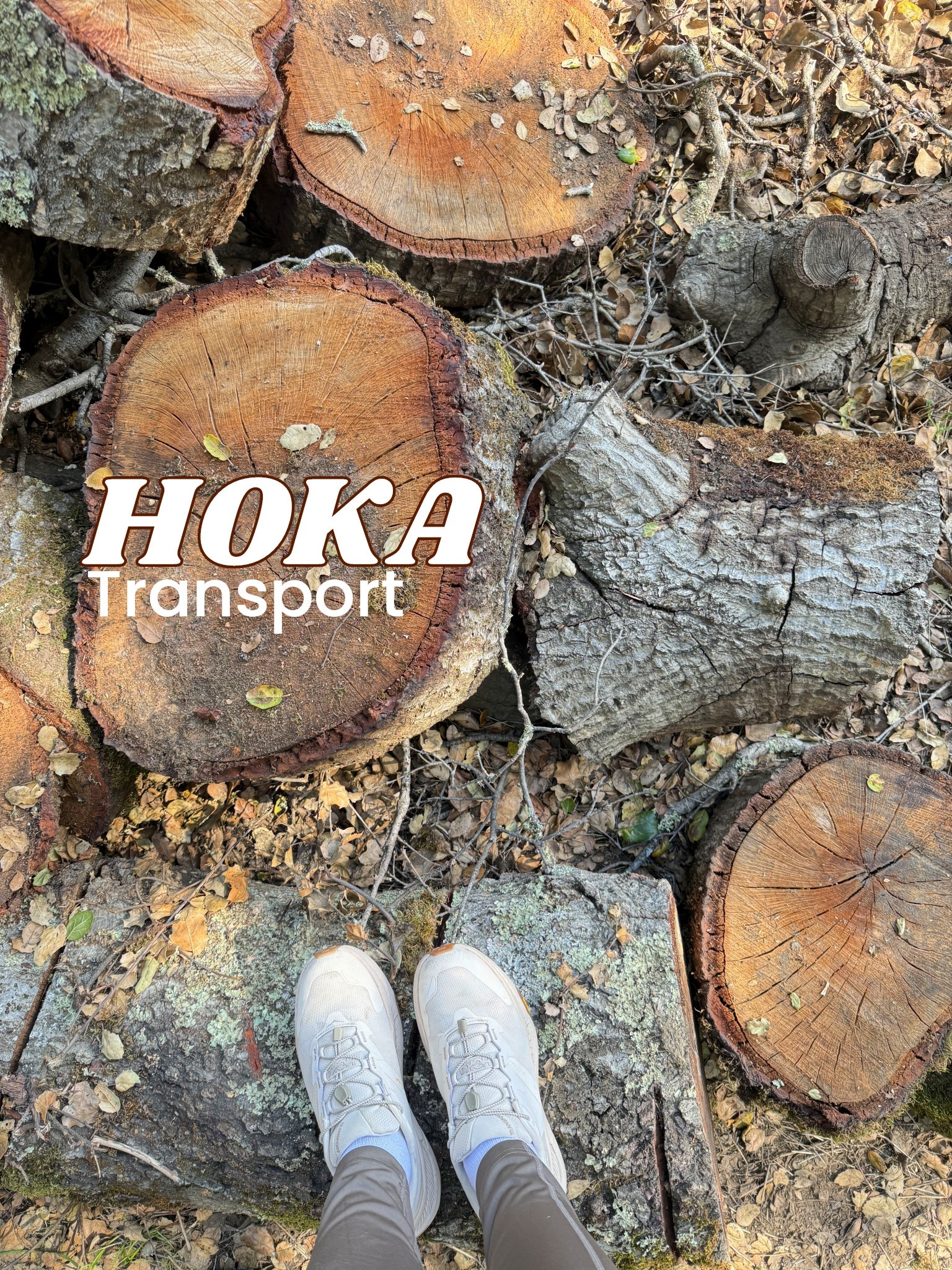 HOKA Transport Sneaker Women’s 
Gym shark pocket lifting leggings 


MEN’s HOKA#LTKShoeCrush

#LTKSaleAlert #LTKActive