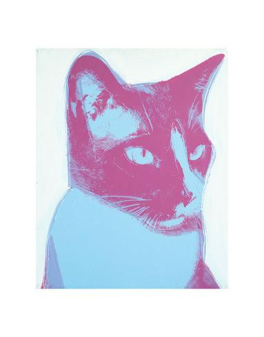 Art Print: Warhol's Cat, 1976, 14x11in. | Allposters.com
