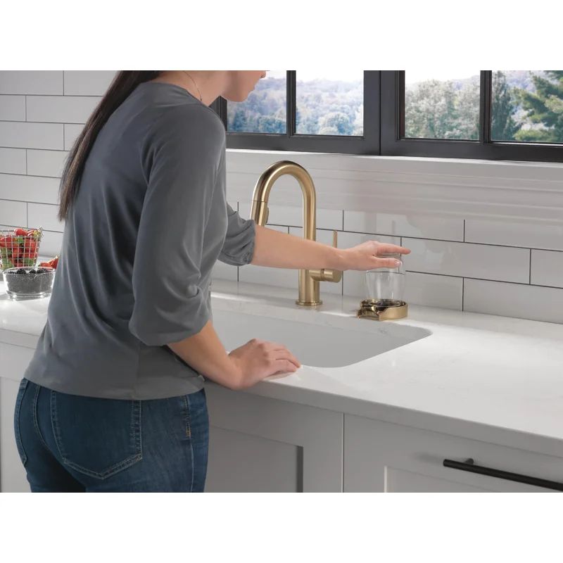 9959-CZ-DST Trinsic Pull Down Sprayer Bar Faucet, Single Handle Prep Sink Faucet | Wayfair North America
