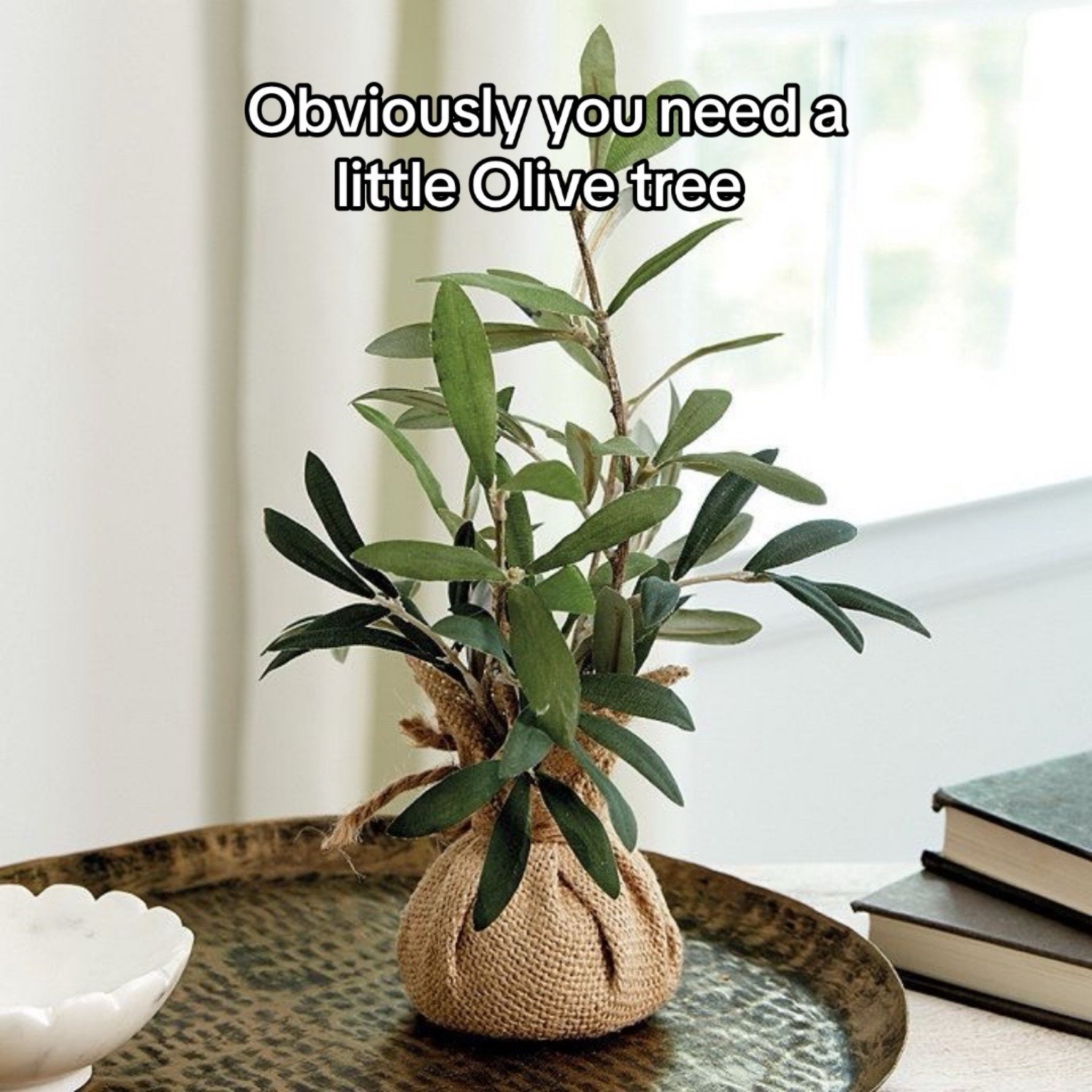 Olive tree

#LTKHome