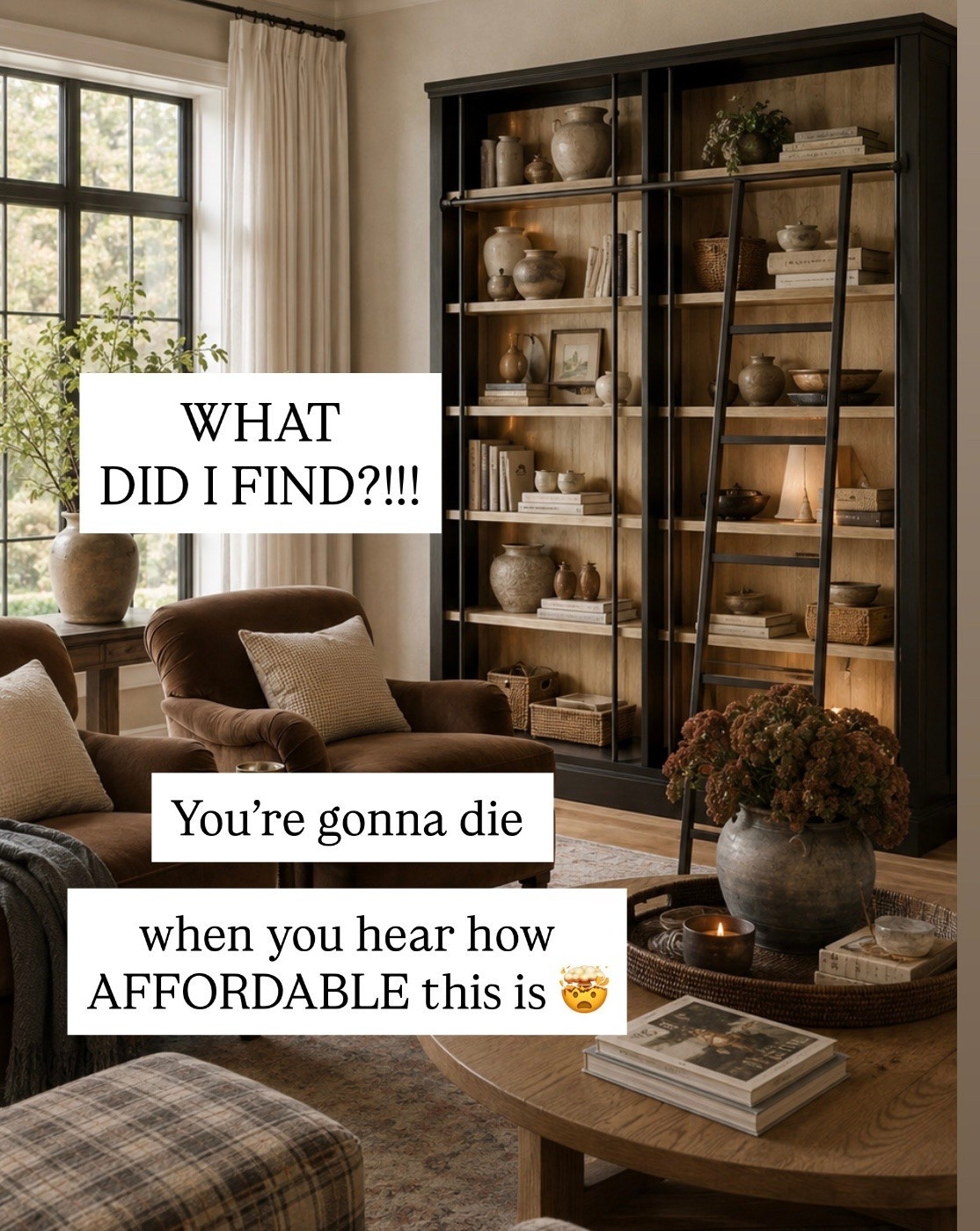 I have never seen a bookcase with a ladder at this price. The library ladder bookcase would make your living room. This statement piece is also on sale and super affordable.

#LTKHome #LTKSaleAlert