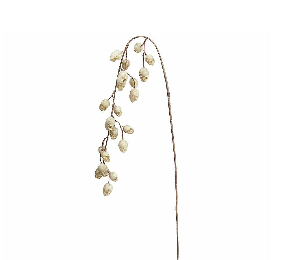 Hanging Skull Spray, Set of 6 | Pottery Barn (US)