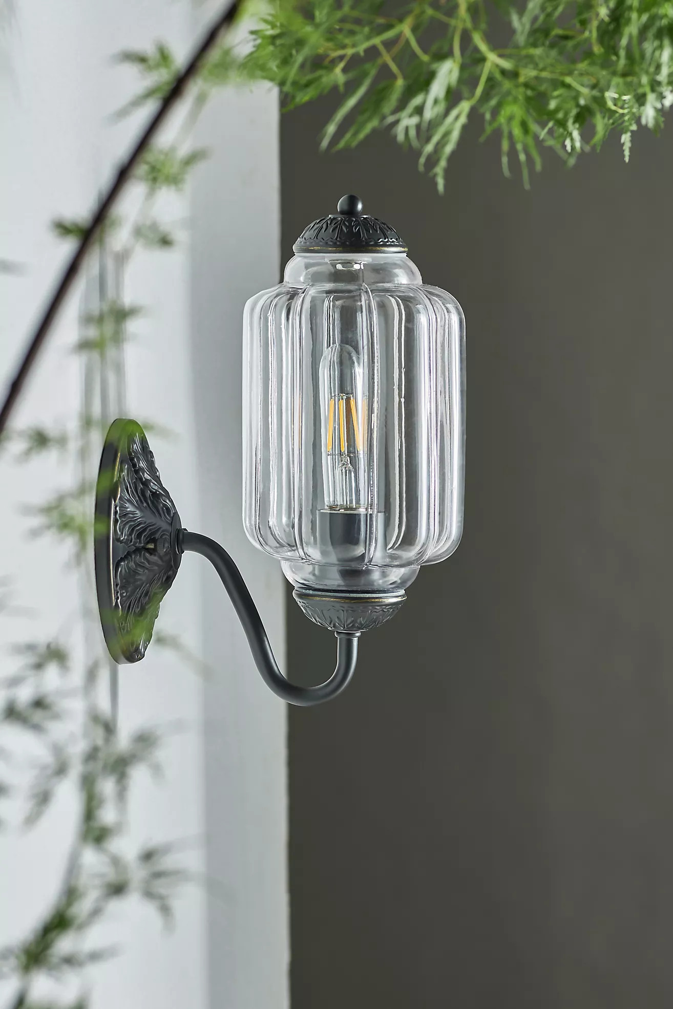 The Eloise Scallop Glass Indoor/Outdoor Sconce Wall Light | Anthropologie (US)