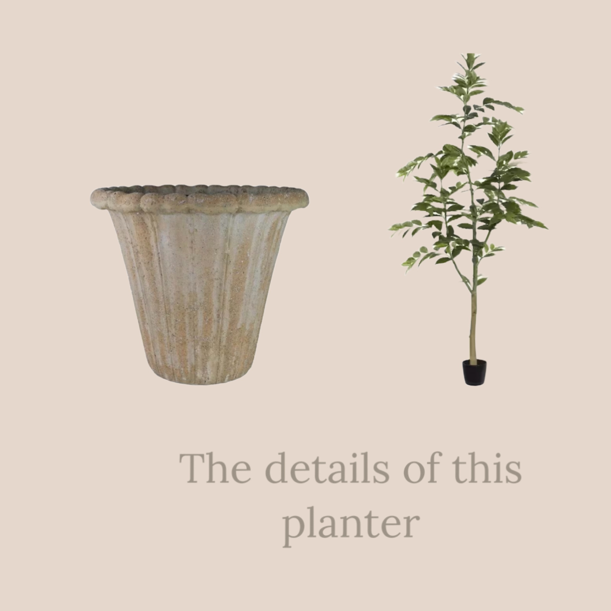 The cutest planter 

#LTKSeasonal #LTKhome