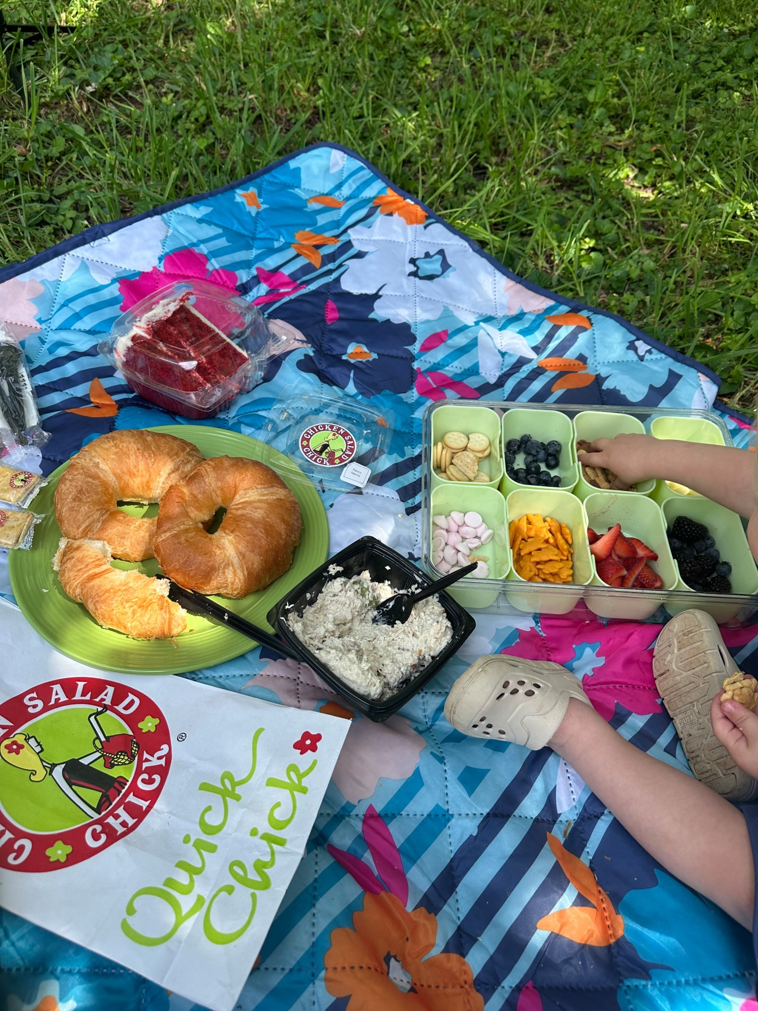Snackle box for toddlers and outdoor blanket for picnic 

#LTKFamily #LTKSeasonal #LTKKids