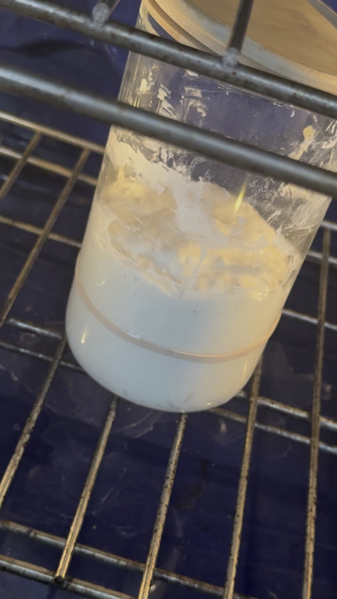 #LTKHome #LTKMostLoved #LTKFamily