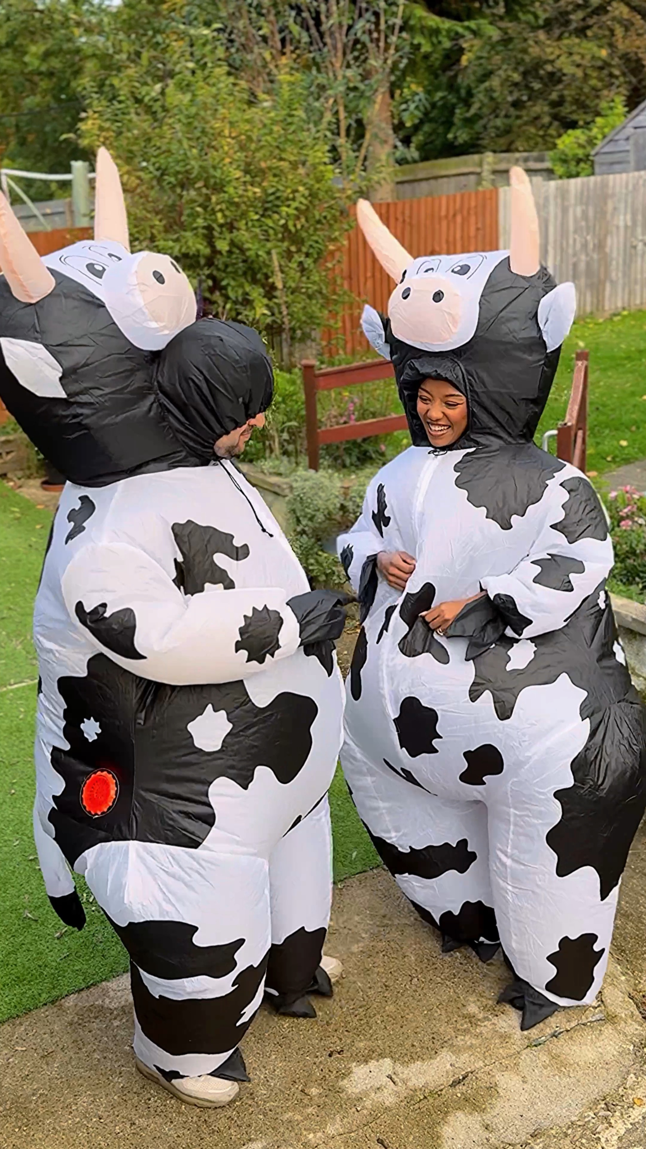 Inflatable cow costumes 

#LTKHalloween #LTKGiftGuide #LTKParties