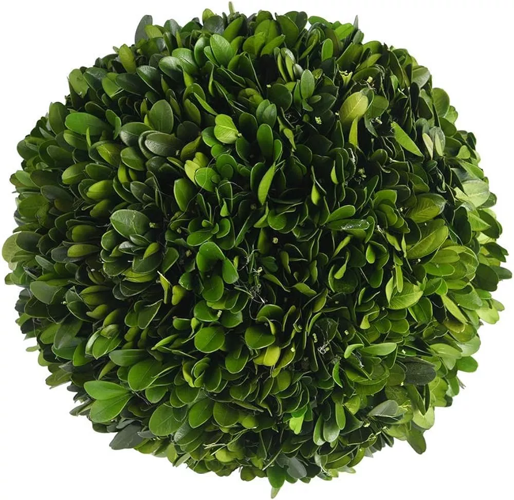 Boxwood Greenery Balls curated on LTK