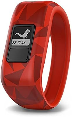 Visit the Garmin Store | Amazon (US)