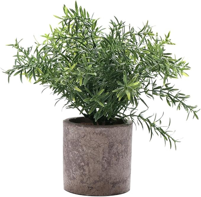 HC STAR Artificial Plant Potted Mini Fake Plant Decorative Lifelike Flower Green Plants | Amazon (US)