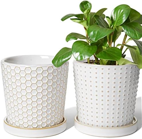 LE TAUCI Ceramic Plant Pots, 5.4 inch Indoor Planters with Drainage Hole and Saucer, Embossed Flo... | Amazon (US)