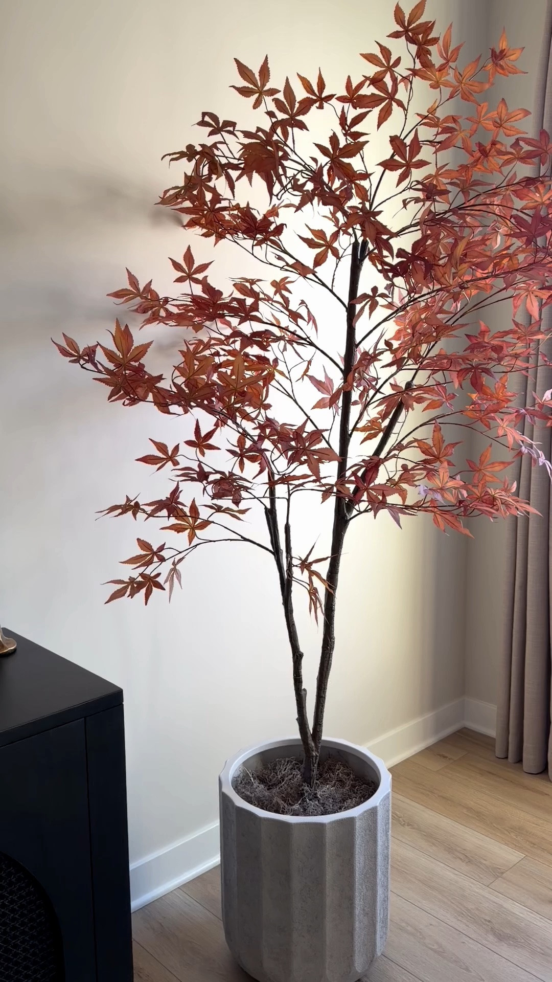 Fall tree, maple tree, faux tree, autumn tree

#LTKSaleAlert #LTKSeasonal #LTKHome