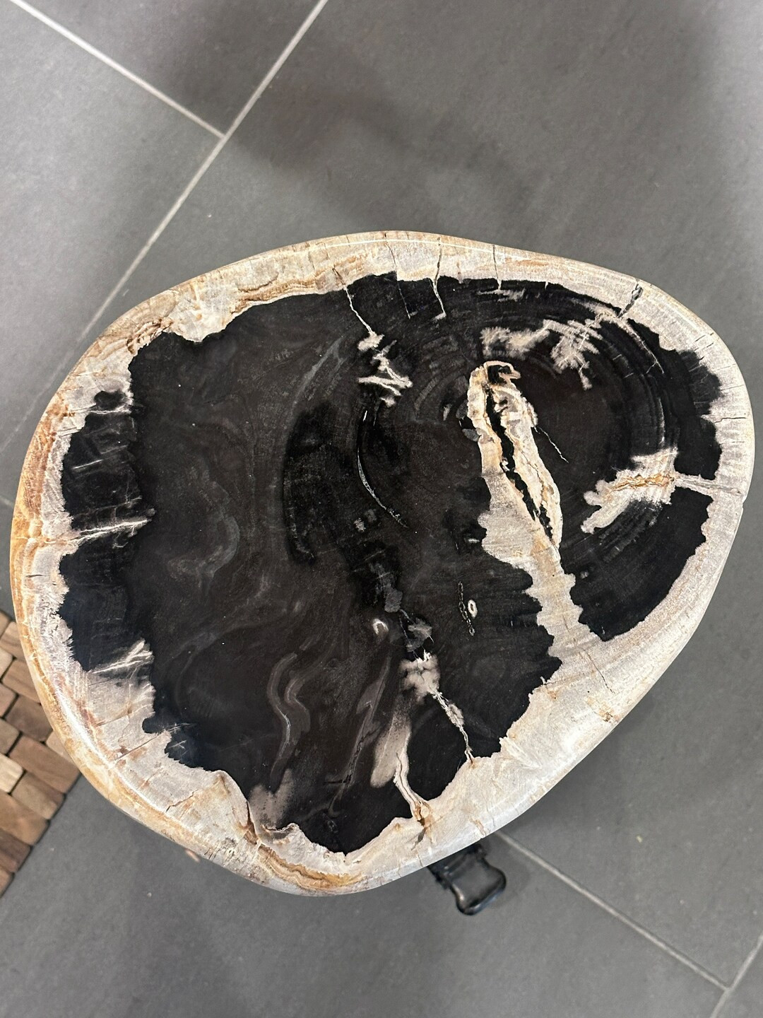 Golden Black petrified stump | Etsy (US)