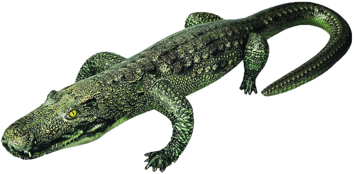 Jet Creations Inflatable Gator 49 inch Long Safari Great for Pool, Party Decoration, an-Gator | Amazon (US)