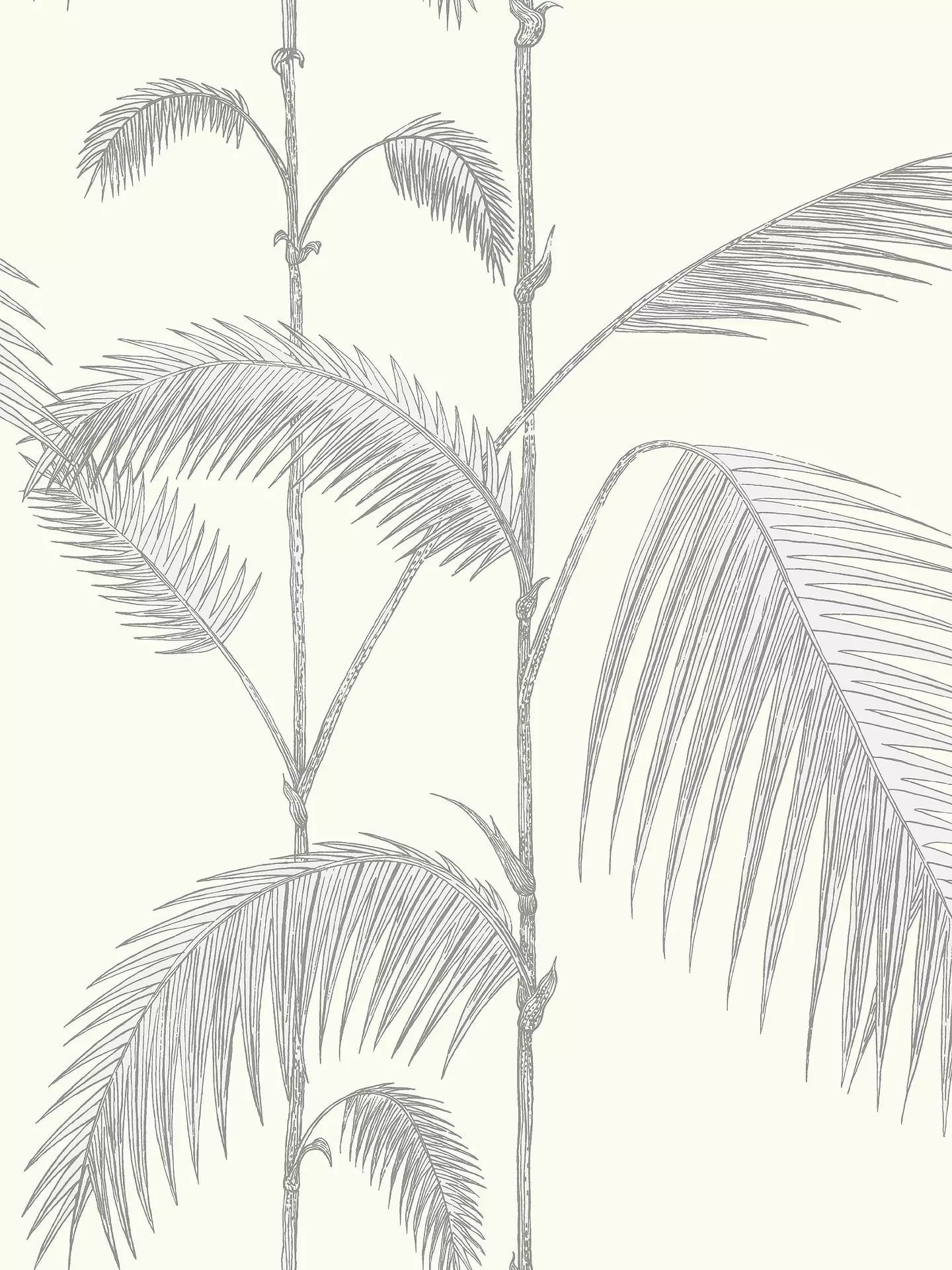 Cole & Son Palm Jungle Wallpaper, Soft Grey on White, 95/1008 | John Lewis UK