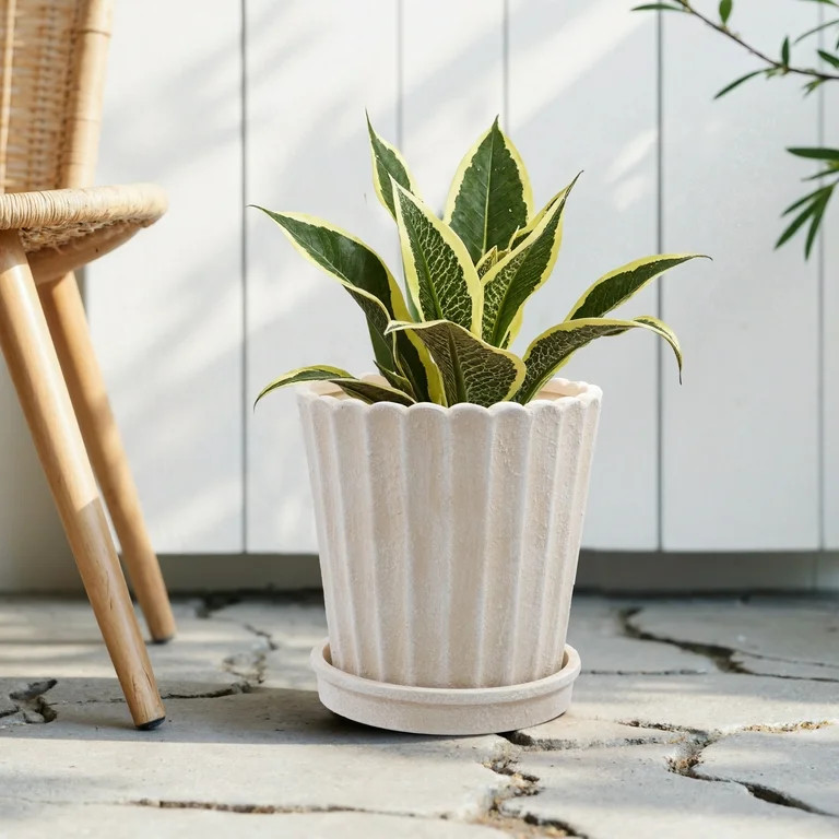 My Texas House 8 Inch Shell Planter Cream Ceramic Indoor Outdoor Flower Pot | Walmart (US)