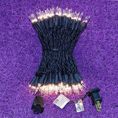 100 Clear Christmas Lights, 33 Ft Black Wire String Lights, Commercial Grade Decorative Lighting ... | Amazon (US)