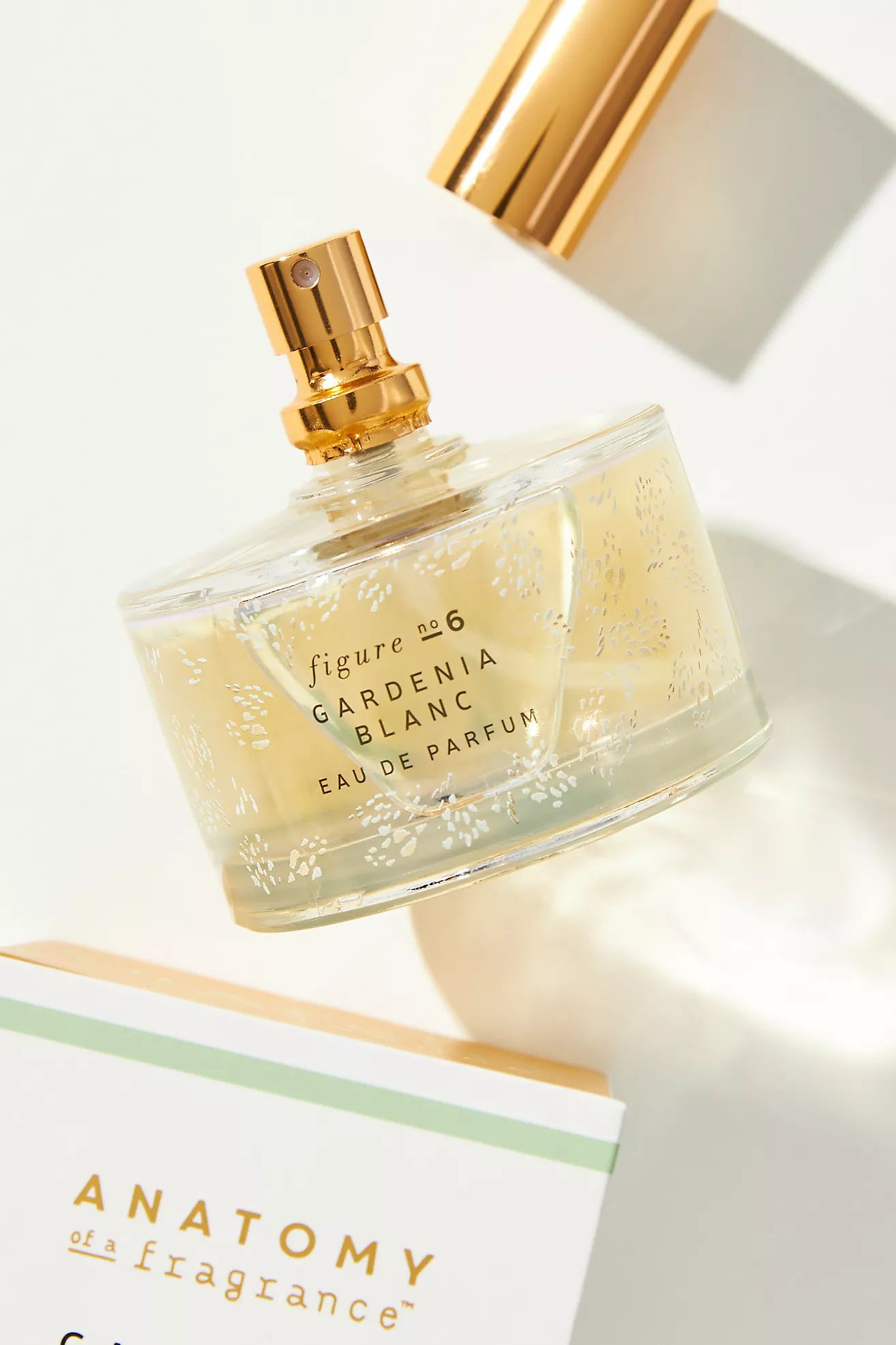 Anatomy of a Fragrance Eau De Parfum | Anthropologie (US)