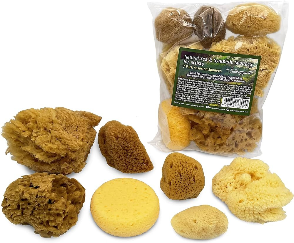 Natural Sea & Synthetic Sponges - Assorted Sizes 7pc Value Pack for Crafts & Artists: Great for P... | Amazon (US)