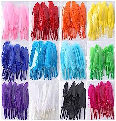 Coceca 240pcs Colorful Goose Natural Feathers 4-6 inches Feathers for DIY Crafts | Amazon (US)