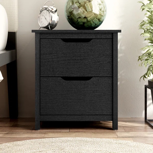 Cameka 22'' Tall 2 Drawer Nightstand | Wayfair North America