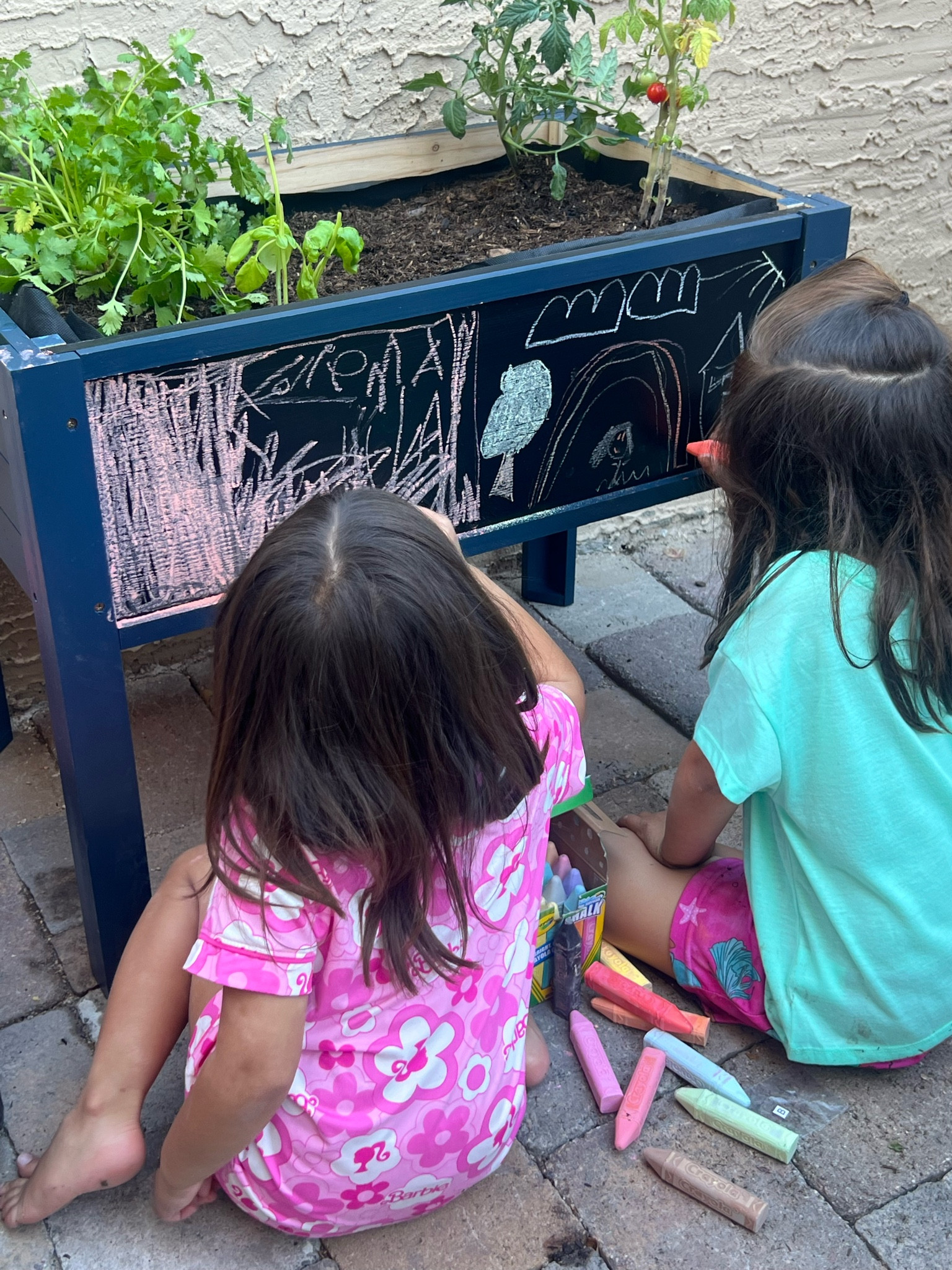 Gardening - the perfect summer project for your little ones! It’s a great size for herbs and some smaller plants and the girls had such a great time coloring with chalk. 🌱 🍅 🥬 

#LTKHome #LTKFindsUnder100 #LTKKids