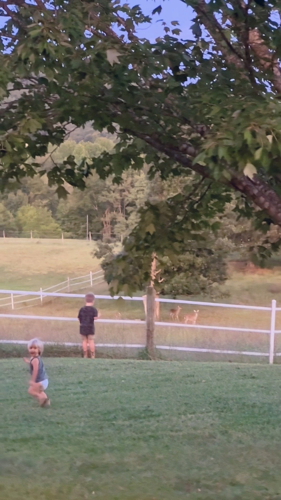 And I’ll never get over all the deer 🦌 we constantly see out in our pasture!!!! 🌾 This precious view of my babies 👶🏼 (in their whittle cowboy boots 🥾 and camo 🤠 hehe 🤭) running out to watch them every night is just the sweetest thing ever!!! 💫