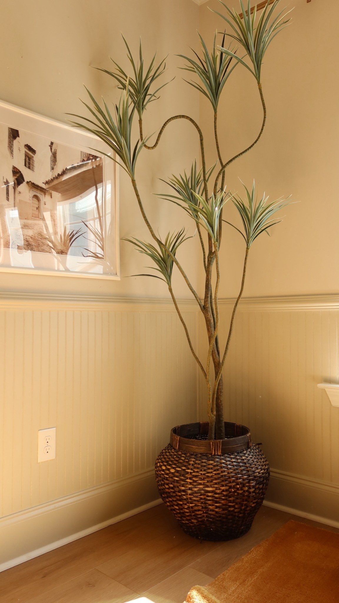 The cutest faux tree from west elm!!

Dracaena tree 
Trees 
Organic modern home decor 

#LTKHome #LTKmomlife #LTKSaleAlert