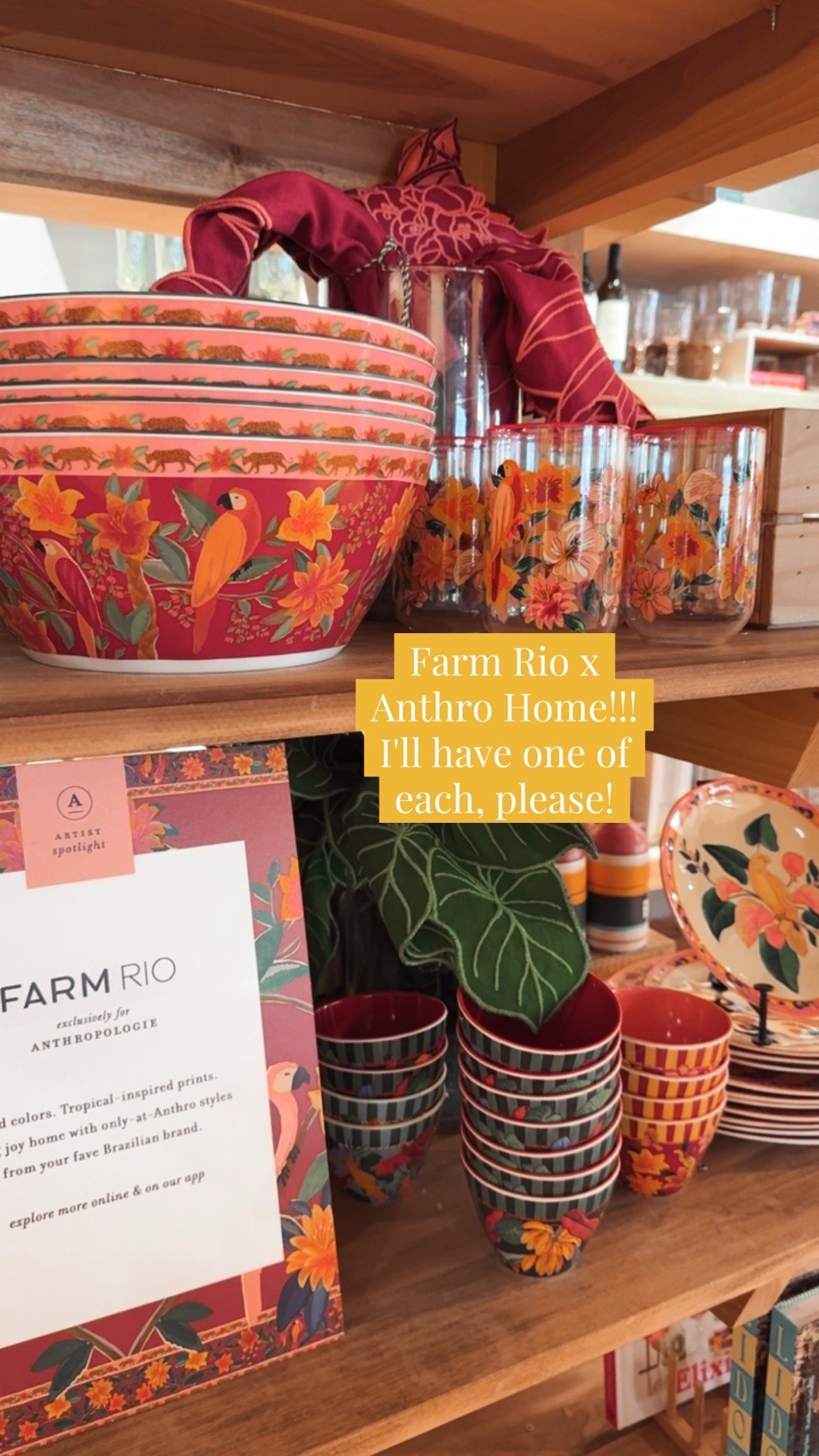 The Farm Rio x Anthro home collection is so good!

#LTKHome #LTKSeasonal #LTKOver40