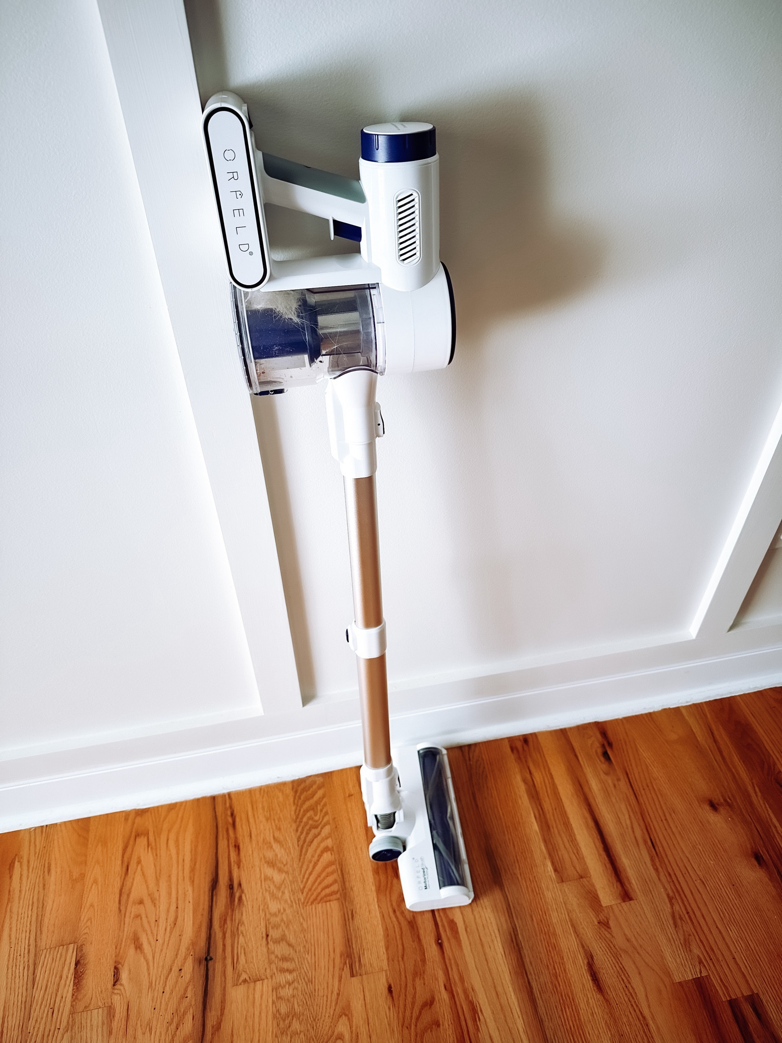 Just found the perfect mom friendly vacuum!! 👏🏽🙌🏽 very quiet, light weight, cordless and oh so Mighty!! I have a lab and a good vacuum is essential. This is a must! 😍 

#LTKhome #LTKstyletip