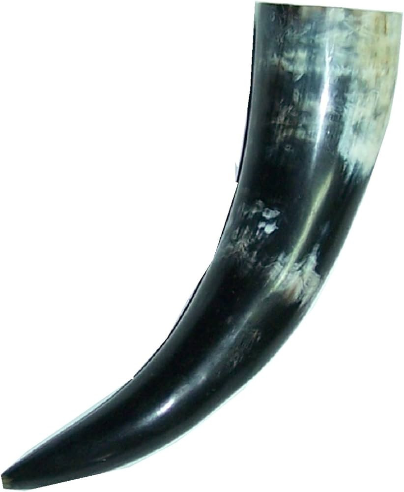 Polished Buffalo Horn - Natural Buffalo Horn (6-10 Inches) | Amazon (US)
