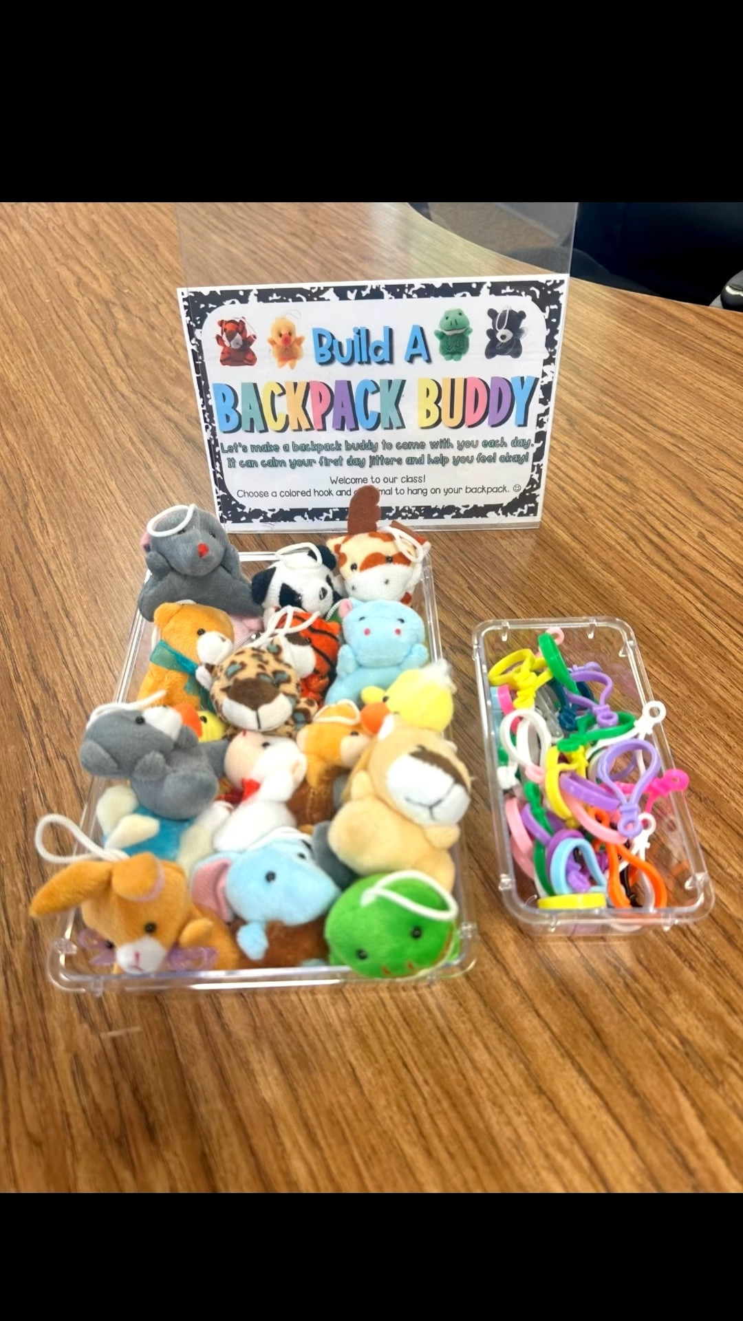Backpack Buddies🧸🎒 | teacher gift ideas

#LTKSeasonal #LTKSaleAlert #LTKKids