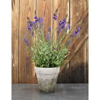 Lavender Faux Plant in Pot Ophelia & Co. Overall Dimensions: 20" H x 20" W x 8" D | Wayfair North America