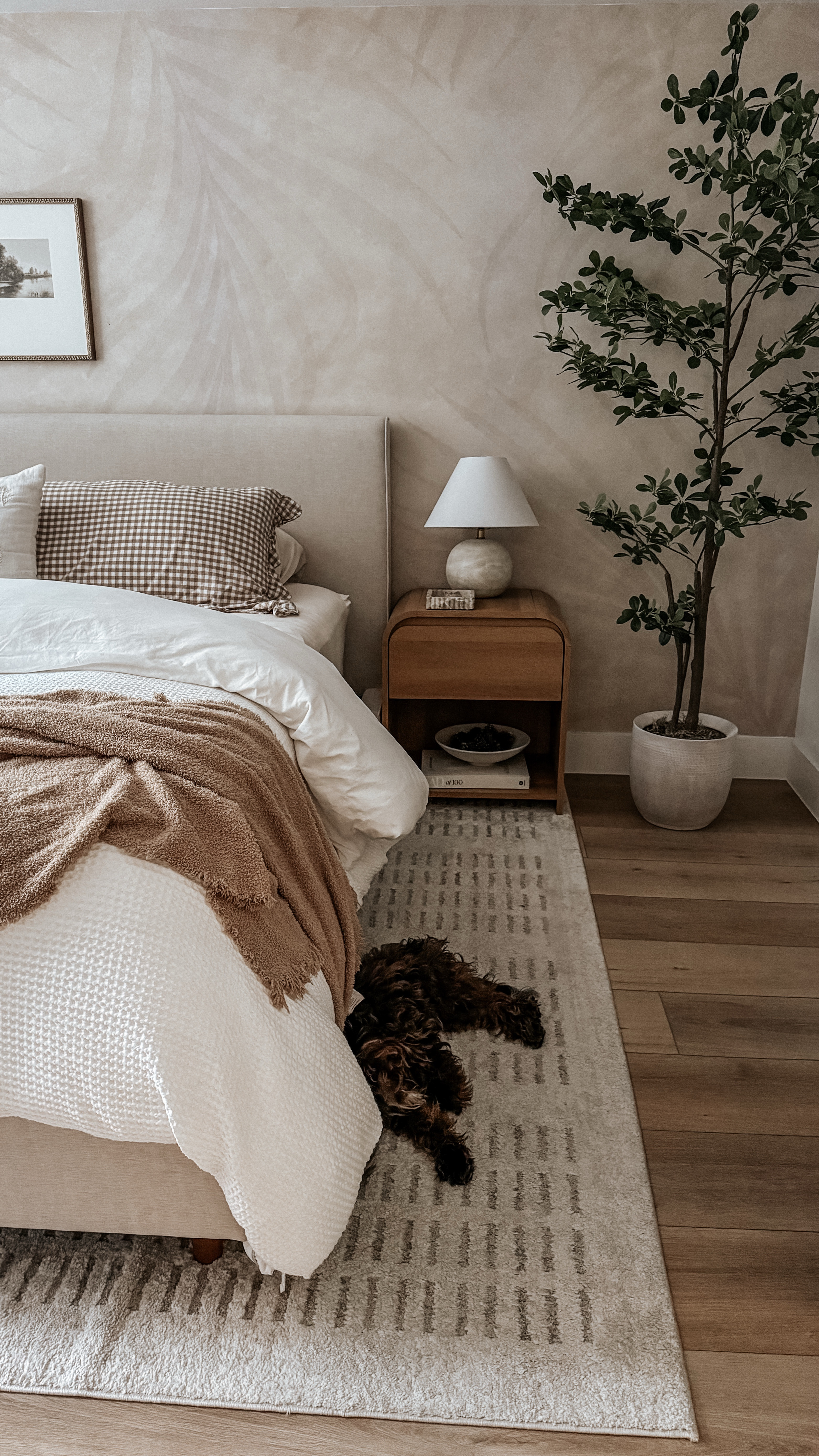 Added a new black olive tree to my bedroom! It’s 7ft and $99  Love that this one doesn’t have faux olives on it and feels more substantial and elevated in the space! 

#LTKStyleTip #LTKSeasonal #LTKHome