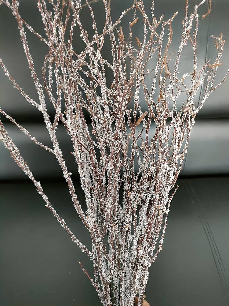 Decorative Birch Branches, 23 Inch Brich Stems for Wedding Decor,Dried Twigs for Christmas Decor ... | Amazon (US)