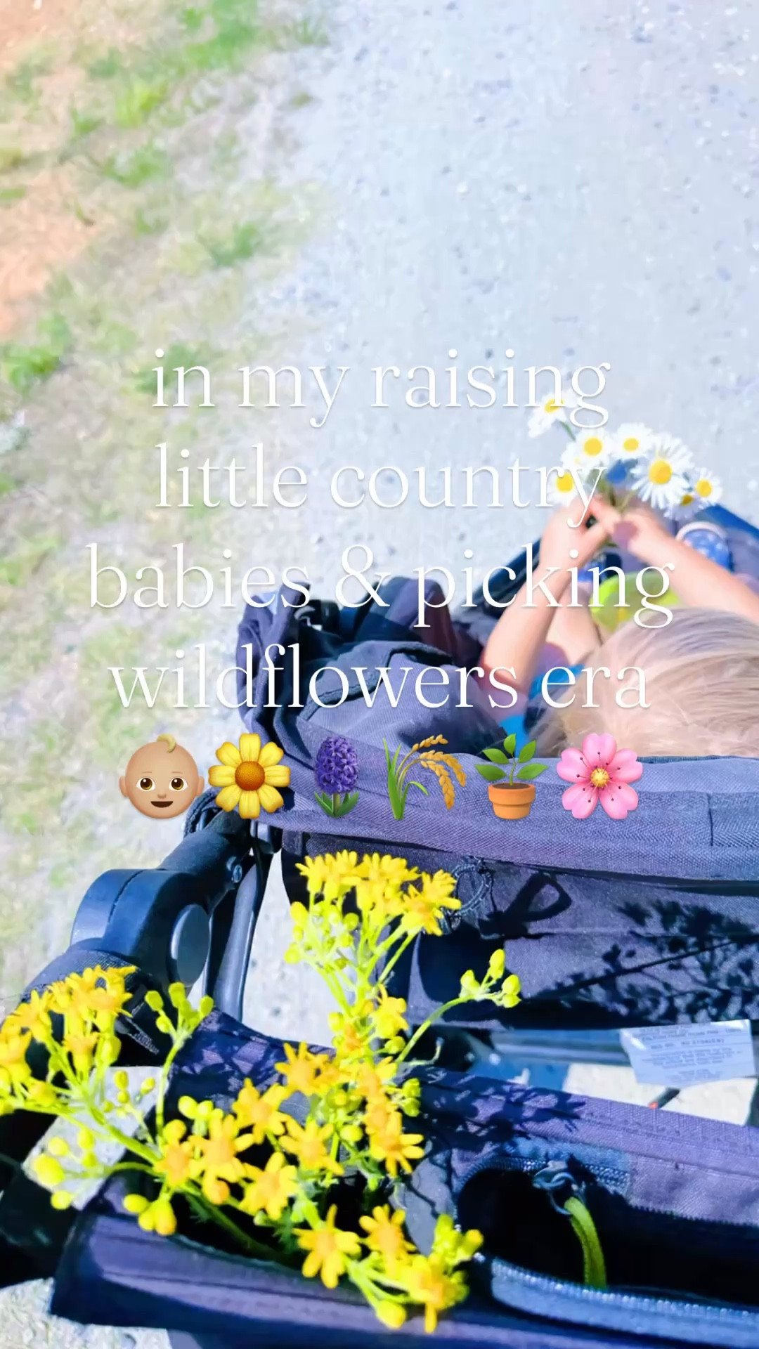 Just the most stunning walking views right down our driveway that I’ll *never* get over 🪻🐴🌼🪿🌾 #farmsweetfarm #countryliving 

Officially in my raising little country babies 👶🏼🌾 & picking wildflowers 🪻🌼 era and loving every second !!! 🥰🌸🪴🧺🫧 #countrybabies #babiesandland 

The blooming peonies 🌸 alllll over the farm feels like such a god wink 😉 if you ask me!!! 💐🪷 One of my very favorite flowers… in abundance!!! 🥰🌼 These light pink ones are going to be soooo pretty y’all!! 😍

Truly living the dream 💭 these days - love this place and this sweet little country life of ours so!!! 🪻🧺🌼🪴🌾 God’s plans are always so so good, y’all! 🌳🚜🦆🐴 #farmdreamcometrue