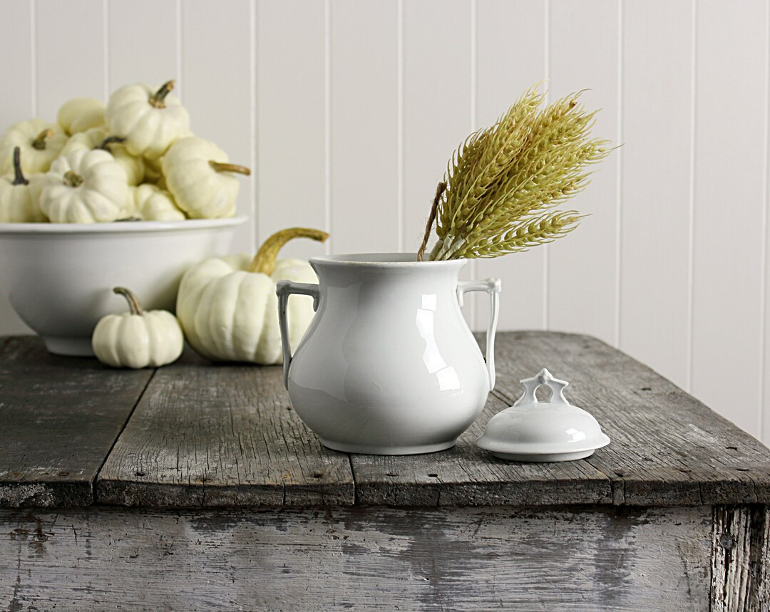Antique Ironstone Sugar Bowl Thomas Elsmore & Son C. 1880s - Etsy | Etsy (US)