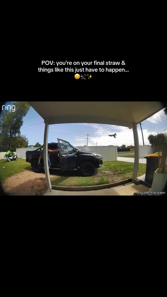 Nah cus the bird knewww I was in a mood & just HAD to detour and swoop me… 😀🦅💀

#LTKaustralia #LTKfamily #LTKsummer