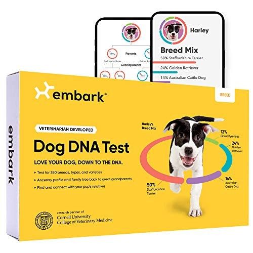 Embark Breed Identification Kit | Most Accurate Dog DNA Test | Test 350+ Dog Breeds | Breed ID Ki... | Amazon (US)