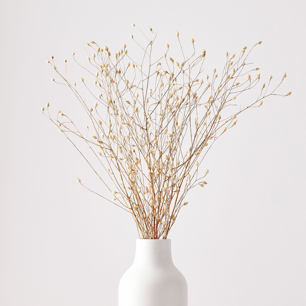 Dried Flax Bunch | West Elm (US)